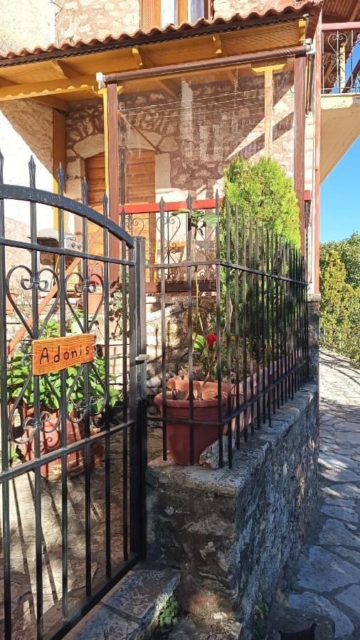 Adonis Guest House Димицана Экстерьер фото